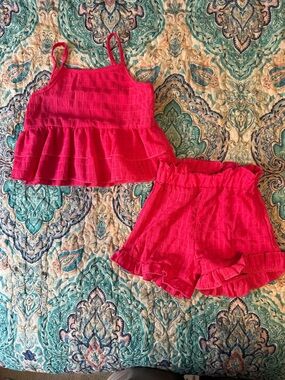 SHEIN Hot Pink Ruffle Shorts Set